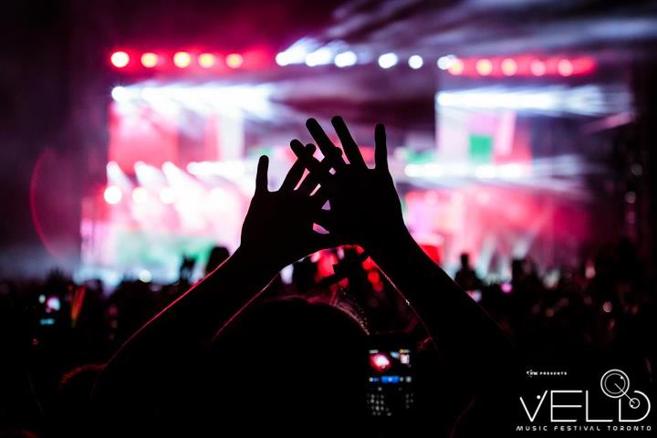 Avicii at VELD Avicii at VELD