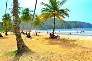 Beach and PalmTrees