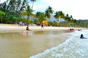 Shore of Maracas Bay