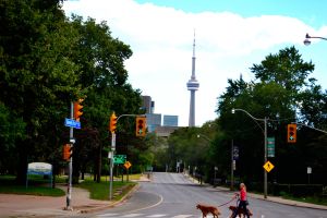 Walking over to Yorkville