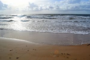 Sunlight reflecting off the ocean.