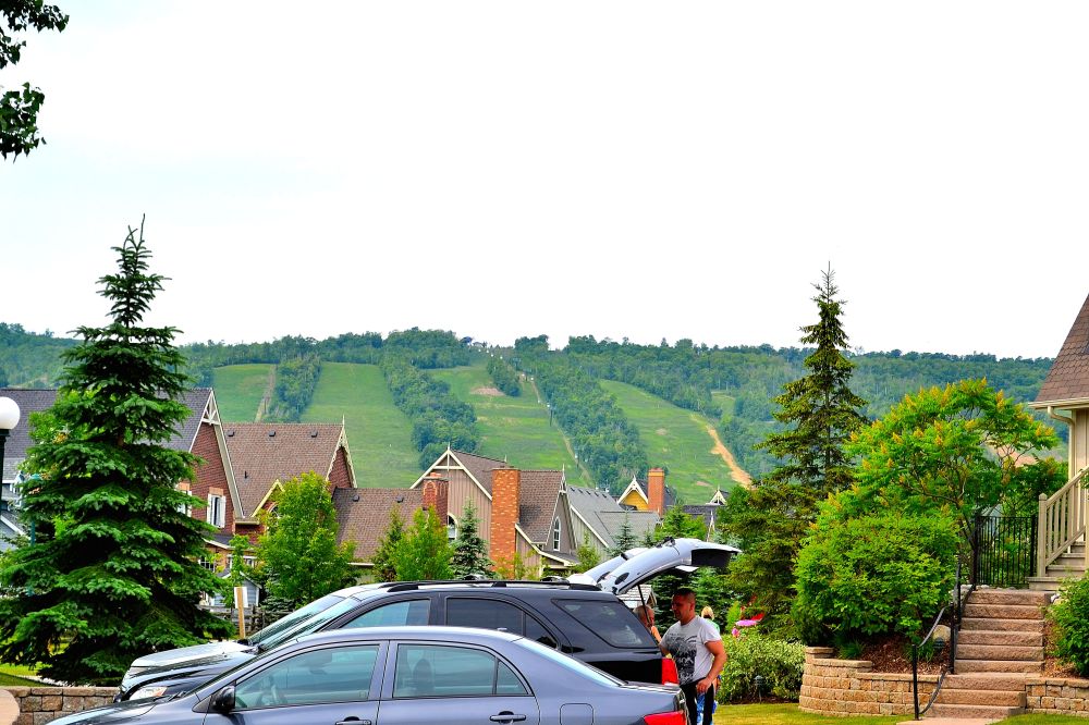 Summer ski hills at Blue Mountain Ski Resort 