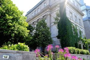 building surrounded by nature