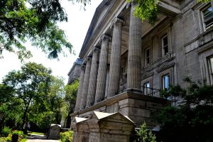 Trees add life and colour to these dull grey buildings