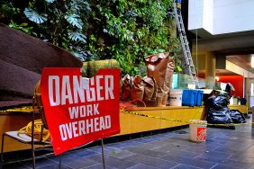 Contraction on the Plant wall