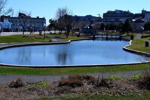 Pond near the old port in Old Montreal