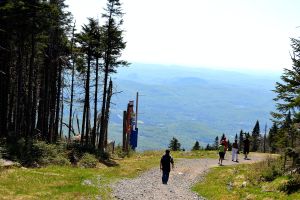 hikers climbing to the top