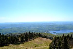 View of the path at the top