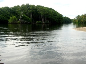 Water roads of Manzanilla Beach