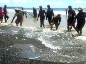 Nets getting pulled closer to shore