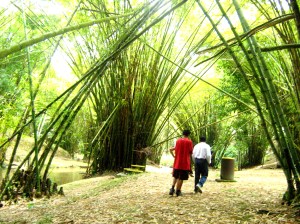 Beautiful landscapes of Cora