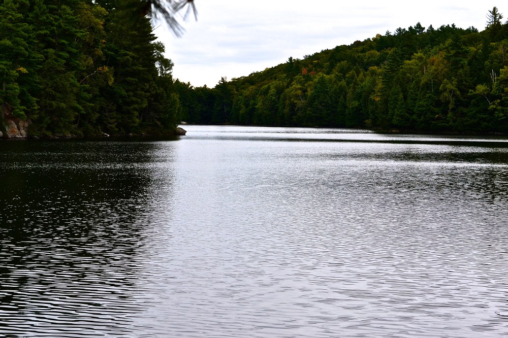 (c) Krystal Seecharan