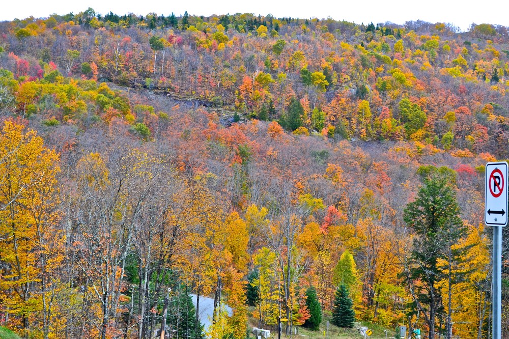 Majestic mountain range painted in fall colours